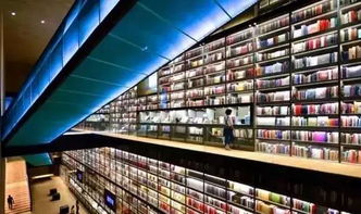 国产精品秘 麻豆免费